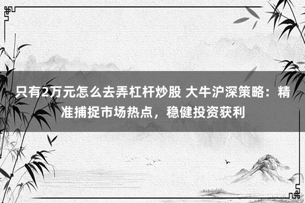 只有2万元怎么去弄杠杆炒股 大牛沪深策略：精准捕捉市场热点，稳健投资获利