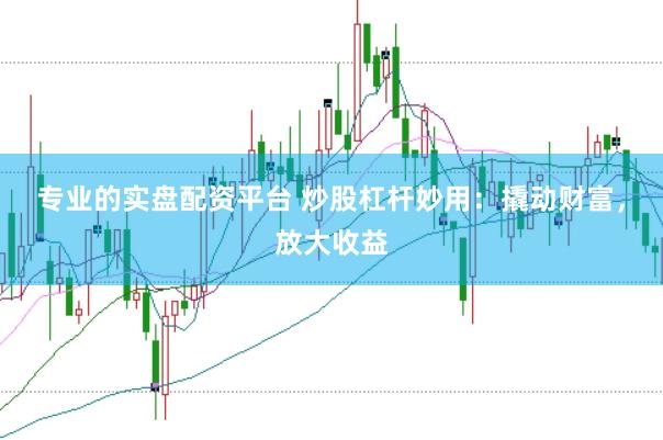 专业的实盘配资平台 炒股杠杆妙用：撬动财富，放大收益