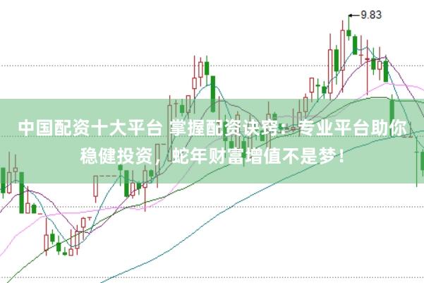 中国配资十大平台 掌握配资诀窍：专业平台助你稳健投资，蛇年财富增值不是梦！