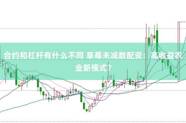 合约和杠杆有什么不同 草莓未减数配资：高收益农业新模式？