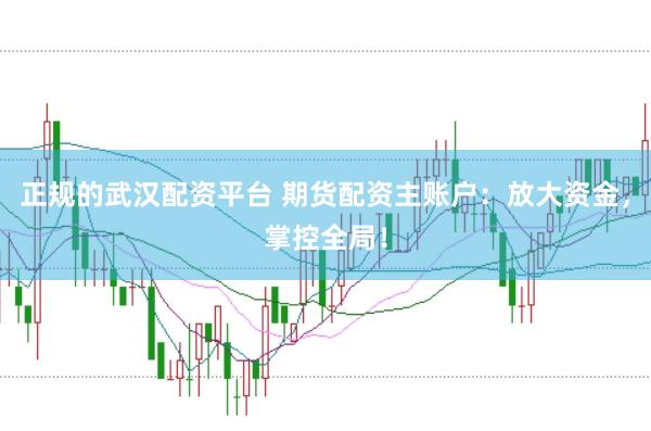 正规的武汉配资平台 期货配资主账户：放大资金，掌控全局！