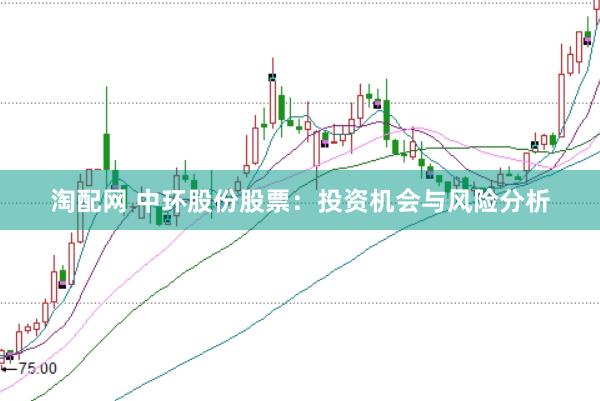 淘配网 中环股份股票：投资机会与风险分析