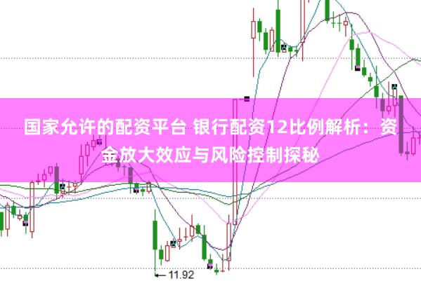 国家允许的配资平台 银行配资12比例解析：资金放大效应与风险控制探秘